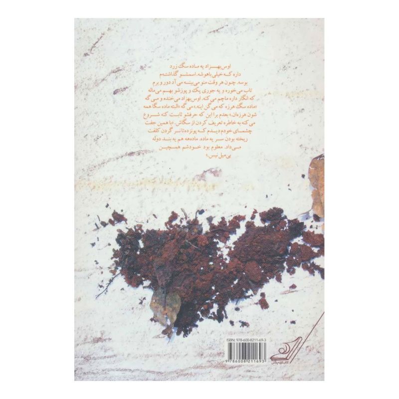 کتاب خاکسپاری ماهی قرمزها اثر حسین قسامی انتشارات کتاب کوله پشتی