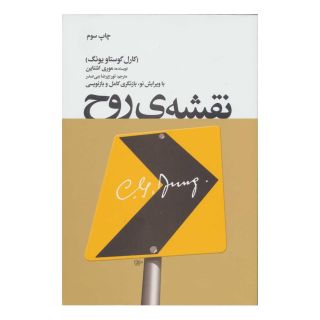 کتاب نقشه ی روح اثر موری اشتاین انتشارات لیوسا