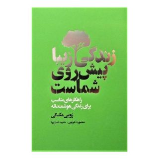 کتاب زندگی زیبا پیش روی شماست اثر زویی مک کی انتشارات لیوسا
