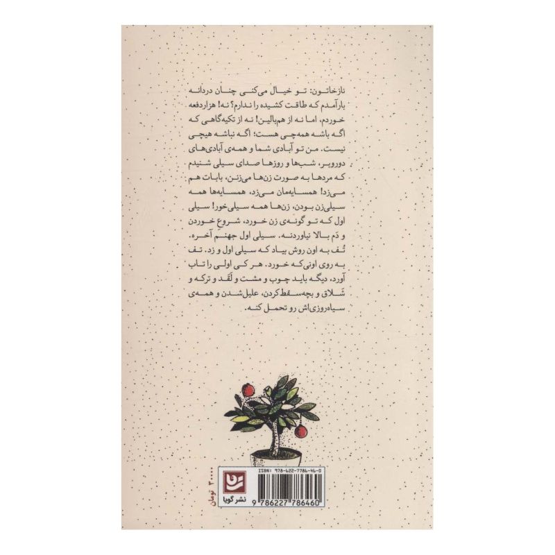 کتاب نازخاتون اثر بهزاد فراهانی انتشارات نشر گویا