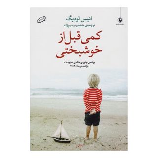 کتاب کمی قبل از خوشبختی اثر انیس لودیگ انتشارات مروارید