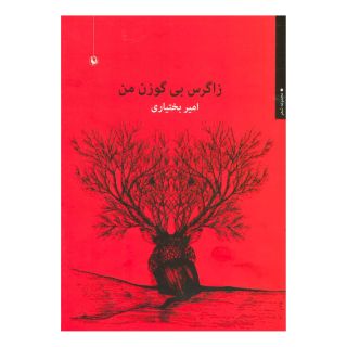 کتاب زاگرس بی گوزن من اثر امیر بختیاری انتشارات مروارید