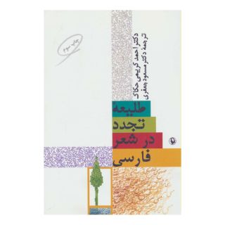 کتاب طلیعه تجدد در شعر فارسی اثر احمد کریمی حکاک انتشارات مروارید