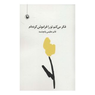کتاب فکر می کنم تو را فراموش کرده ام اثر قائم عظیمی یانچشمه انتشارات مروارید
