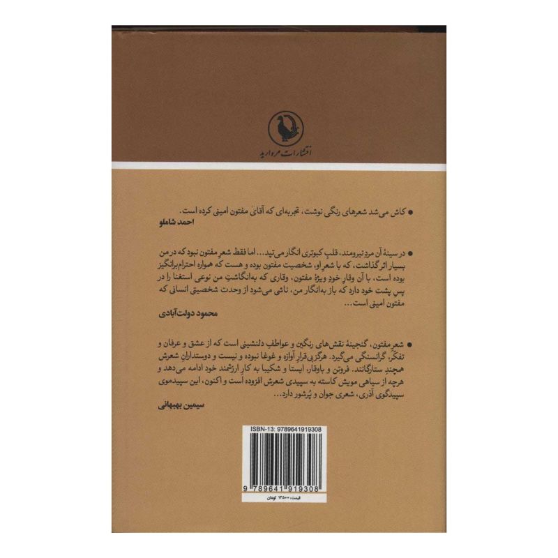 کتاب گفت و گو با مفتون امینی اثر مهدی مظفری ساوجی انتشارات مروارید
