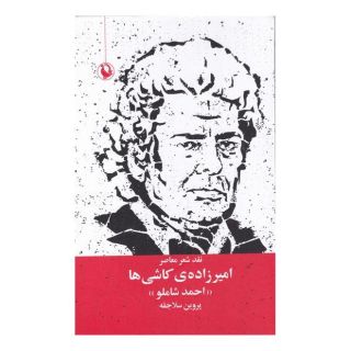 کتاب امیرزاده ی کاشی ها اثر پروین سلاجقه انتشارات مروارید