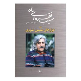 کتاب سیب نقره ای ماه اثر روح الله کاظمی انتشارات مروارید