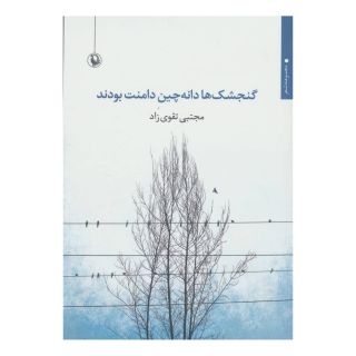 کتاب گنجشک ها دانه چین دامنت بودند اثر مجتبی تقوی زاد انتشارات مروارید