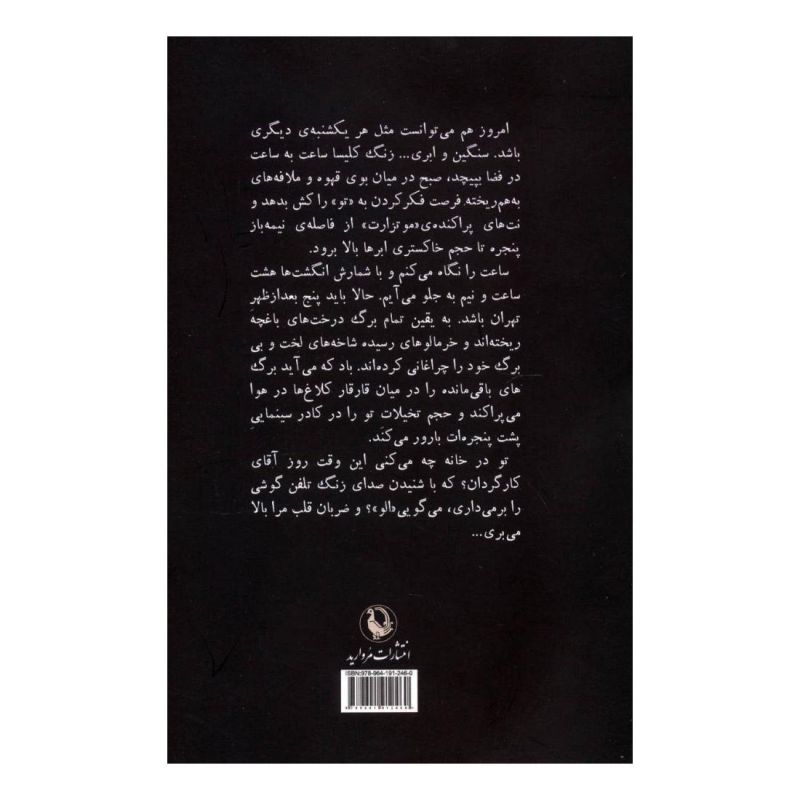 کتاب پرسه در خیابان های سرد اثر ناهید کبیری انتشارات مروارید