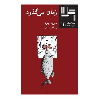 کتاب زمان می گذرد اثر دیوید آیوز انتشارات نیلا