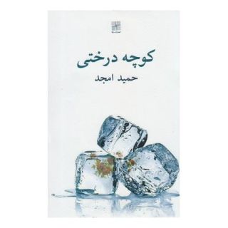 کتاب کوچه درختی اثر حمید امجد انتشارات نیلا