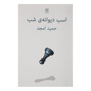 کتاب اسب دیوانه ی شب اثر حمید امجد انتشارات نیلا