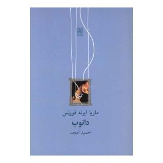 کتاب دانوب اثر ماریا ایرانه فورنس انتشارات نیلا