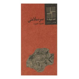 کتاب سرسلامتی اثر حمید حمزه انتشارات نیلا