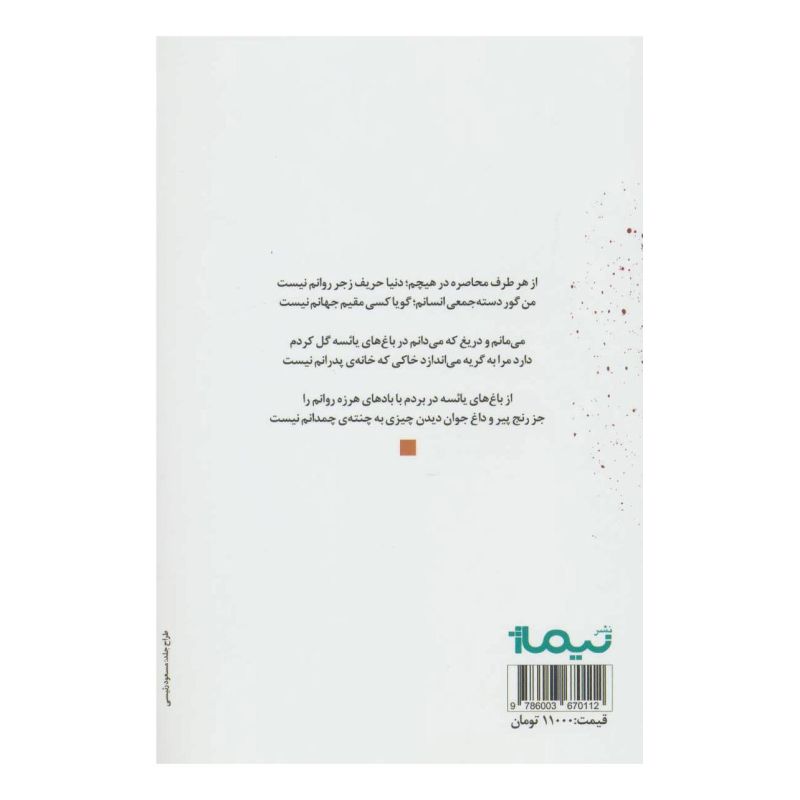 کتاب دم های بی وادم اثر علی اکبر یاغی تبار انتشارات نیماژ