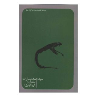 کتاب بیضایی/کروکودیل اثر محمد مساوات انتشارات نیماژ