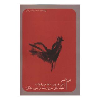 کتاب وقتی خروس غلط می خواند اثر علی شمس انتشارات نیماژ