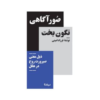کتاب صور آگاهی نگون بخت اثر فرزاد امینی انتشارات نیماژ