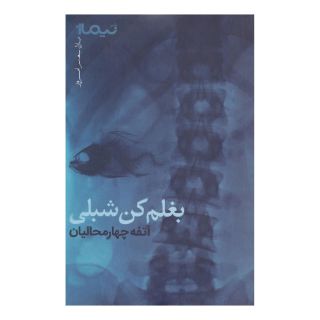 کتاب بغلم کن شبلی اثر آتفه چهارمحالیان انتشارات نیماژ