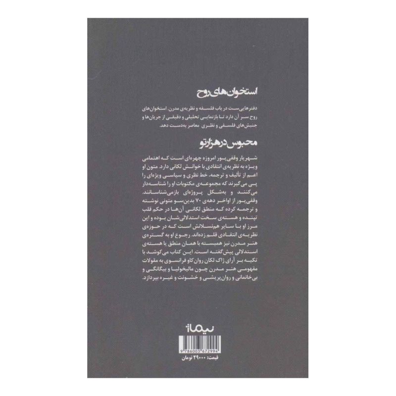 کتاب محبوس در هزار تو اثر شهریار وقفی پور انتشارات نیماژ