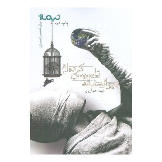 کتاب دیوانه خانه تاسیس کرده ام اثر نیما معماریان انتشارات نیماژ