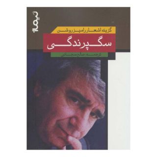 کتاب سگ پرندگی اثر رامیز روشن انتشارات نیماژ