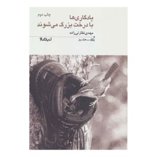 کتاب یادگاری ها با درخت بزرگ می شوند اثر مهدی نظارتی زاده انتشارات نیماژ