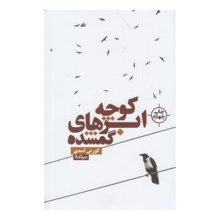 کتاب کوچه ابرهای گمشده اثر کورش اسدی انتشارات نیماژ