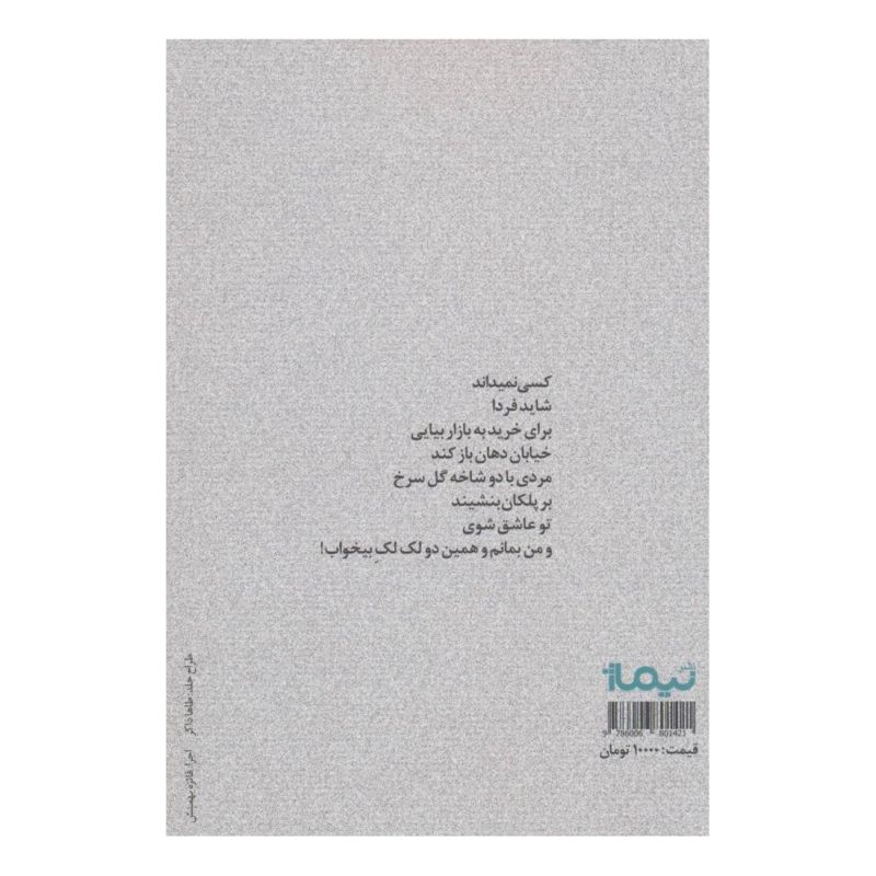کتاب دو لک لک بی خواب اثر سید محمد مرکبیان انتشارات نیماژ