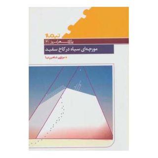 کتاب مورچه ای سیاه در کاخ سفید اثر مرتضی شاهین نیا انتشارات نیماژ