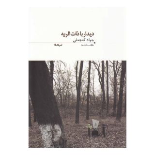 کتاب دیدار با ذات الریه اثر جواد گنجعلی انتشارات نیماژ