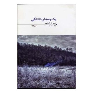 کتاب 1 چمدان دلتنگی اثر امیر ارجینی انتشارات نیماژ