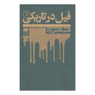 کتاب فیل در تاریکی اثر قاسم هاشمی نژاد انتشارات هرمس