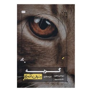 کتاب گربه اثر جینا اسپادافوری انتشارات هیرمند