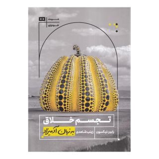 کتاب تجسم خلاق به زبان آدمیزاد اثر رابین نیکسون انتشارات هیرمند