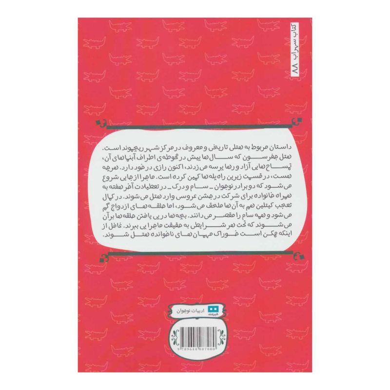 کتاب راز زیر پله اثر استیون ک اسمیت انتشارات هیرمند
