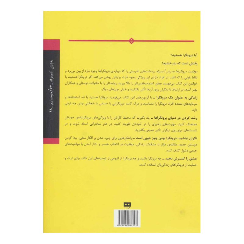 کتاب موفقیت درونگراها به زبان آدمیزاد اثر جوآن پاستور انتشارات هیرمند