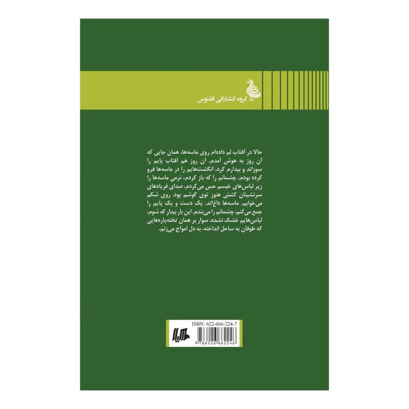 کتاب املاک رابینسون اثر حامد حبیبی انتشارات هیلا