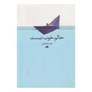 کتاب حالم خوب نیست اثر فائزه طباطبایی انتشارات هیلا