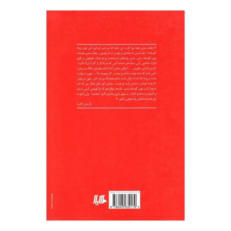 کتاب زهتاب اثر زهره جمشیدی انتشارات هیلا
