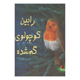 کتاب رابین کوچولوی گمشده اثر الیزابت باگولی انتشارات پینه دوز