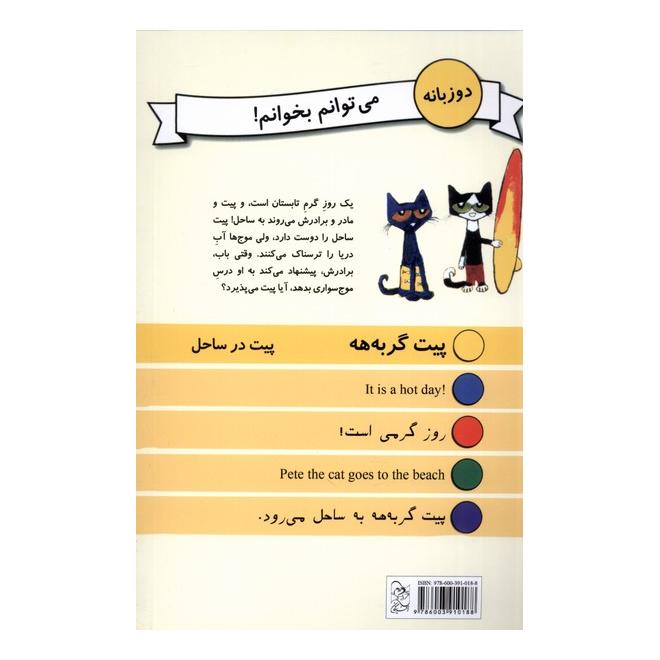 کتاب پیت در ساحل اثر جیمز دین انتشارات آفرینگان
