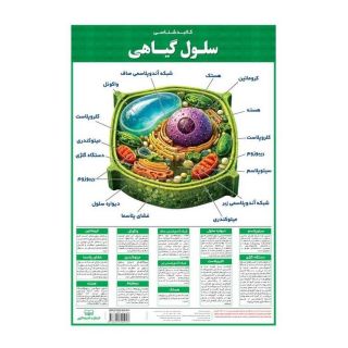 پوستر وایت بردی کالبد شناسی سلول گیاهی انتشارات اندیشه کهن