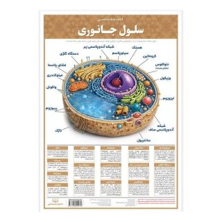 کتاب پوستر کالبدشناسی سلول جانوری A3 انتشارات اندیشه کهن