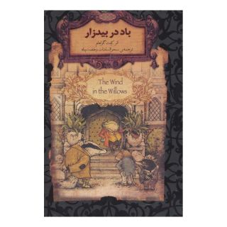 کتاب باد در بیدزار (جیبی) اثر کنت گرهم انتشارات افق