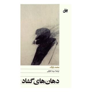 کتاب دهان های گشاد اثر محمد زفزاف انتشارات افق