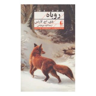 کتاب روباه اثر دیوید هربرت لارنس انتشارات افق