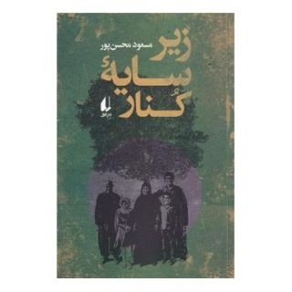 کتاب زیر سایه کنار اثر مسعود محسن پور انتشارات افق