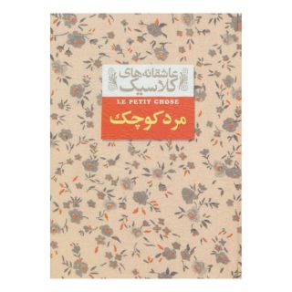 کتاب مرد کوچک (جیبی) اثر آلفونس دوده انتشارات افق