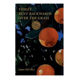 کتاب Violet Bent Backwards Over the Grass اثر لانا دل ری انتشارات زبان ما